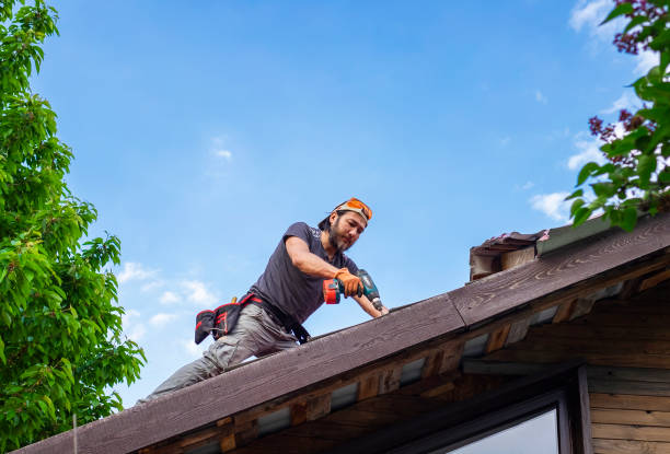 Best Cold Roofs  in Marion, MT